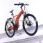EGO Flyer,mountain electric bike