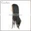 Fashionable african braided wig for black women micro braided lace front wig