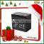 deep cycle battery 12v50ah miantenance free battery valve reguated12v50ah battery