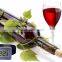 Digital Wrist Thermometer Watch