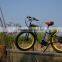 Chinese Fat tyre adult electric mountain bike use 500w motor with EN15194 for sale