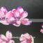 Heat Transfer Printing Paper Dark Base 2016 Fashion Lady's