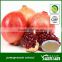 natural pomegranate extract powder with ellagic acid