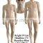 Realistic European full body male mannequin