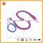 Wholesale New Design Customized Nylon Elastic Pet Collar And Leash For Dogs