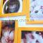 Home Decoration Embellishment Art