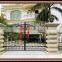 Cheap and good quality color iron gate models
