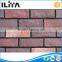 Artificial Stone Pumice Stone Wall Cladding Cement (YLD-01030)