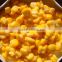 New Crop Canned whole kernel corn 2840g