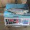 Sea Frozen Mackerel (frozen on boat) 300-500g