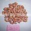 New Crop Good Quality of Peanuts Kernel