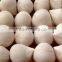 Fresh green young coconut