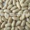 Best quality Peanut for sale