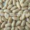 Peanut, Peanuts Kernels, Roasted and Salted Peanuts