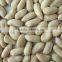 best price of peanut kernel from direct factory