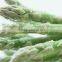 2015 new crop IQF green asparagus