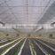 Plastic film agricultural greenhouse with equipment