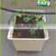 Dutch bucket without lid . Bucket system for hydroponic system.