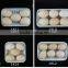 PP material square plastic trays disposable for fresh food packaging