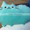 New Arrival 2017 Customized Pusheen Plush Toy Cat