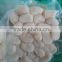New produced frozen scallop in high quality with competitive price