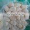 Frozen Vacuum packing fresh scallop in good quality