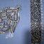 Oman wool embroidery scarf  /  Arab scarf  /  Arab wool embroidery scarf /  Muslim hijab scarf