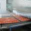 Deep Freezer Machine Individual Quick Freezing Equipment Frozen Fruit Machine