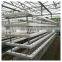 High quality cheap price agriculture greenhouse hydroponics with plastic film