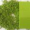 For Plastic Products Plastic Masterbatch Biodegradable Masterbatch