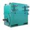 Reliable Supplier High Voltage Simo Motor Made in China