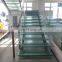 Tempered Laminated Glass/Building Glass with High Quality and Safety