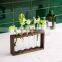 Modern Flower Bud Vase Wall Hanging Glass wood Planter Plant