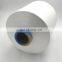 Soft nylon yarn for garments 100D/2