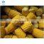 NON GMO Length 3-5cm 6-8cm IQF Frozen Sweet Corn Cut