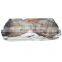 BQF frozen giant squid wings frozen indian ocean squid wing
