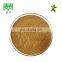 Damiana Leaf Extract For Herbal Sex Medicine / Damiana Extract Powder