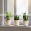 High Quality Set of 3 Bamboo Plant Pot Holder Handmade Flower Pot Wholesale Vietnam Supplier