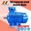 3kw 2 pole explosion proof motor