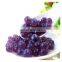 Popping Boba Produktionslinie, Fruchtsaft Popping Boba Herstellungsmaschine