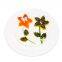 Chestnut Pumpkin heat & eat, children's breakfast, semi-prepared, hotel dish; sweet, fragrant and glutinous IQF Fruit 500g