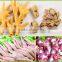 Stainless steel automatic chicken feet processing machine / chicken feet machine