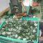 Plastic PVC Pine Needles Both end Feather/Fork ( Any color and Dia can meet )
