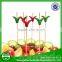 new design good quaility decorating party cocktail picks