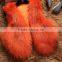 lovely raccoon dog fur vest/beautiful fur vest for ladies