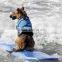 Pet Saver Life Jacket