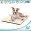 100%polyester dog cat house pet mat