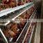 Poultry Equipment Poultry Chicken Cage For Sale Made in China