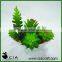 Bestselling Artificial Potted Succulent Plant Desk Plant in White Ceramic Pot