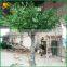China Supplier Artificial Banyan Tree Wholesale